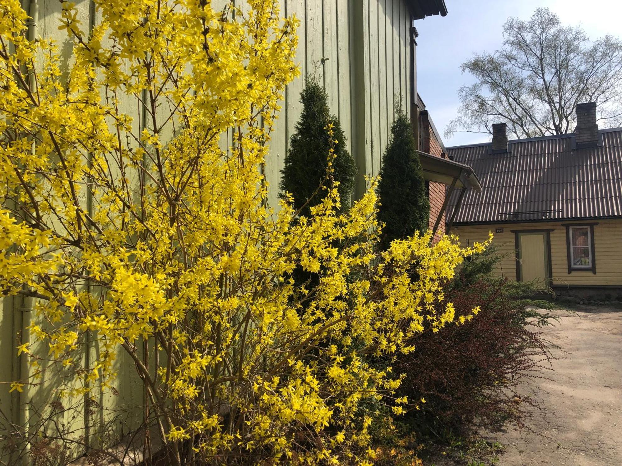 Posti Old Town Apartment Viljandi  Luaran gambar